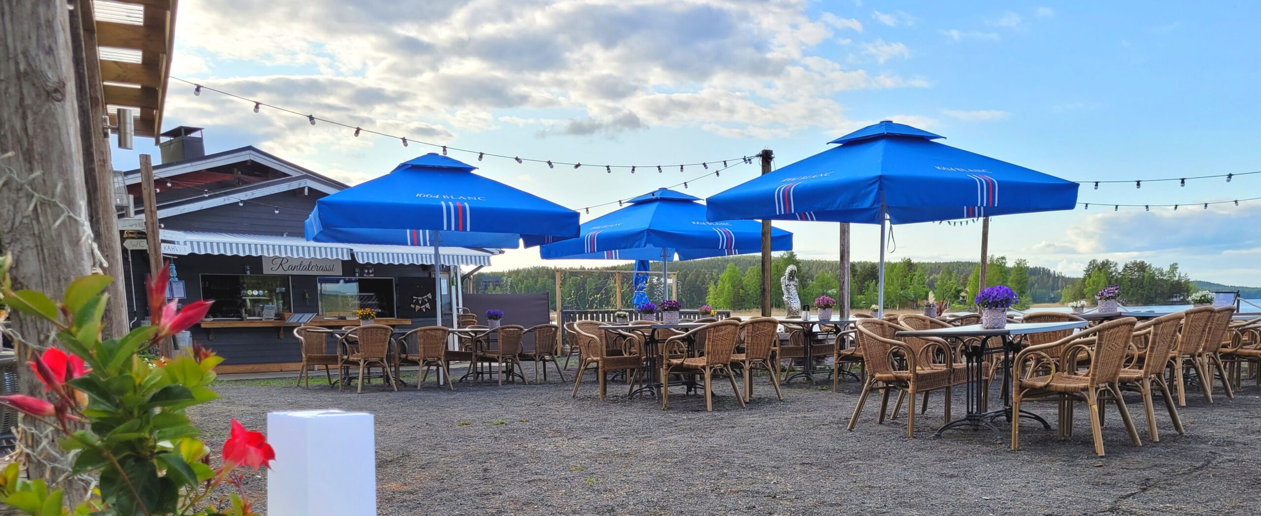 xr:d:DAE_F4FJdgI:682,j:6320069376200932187,t:23061212