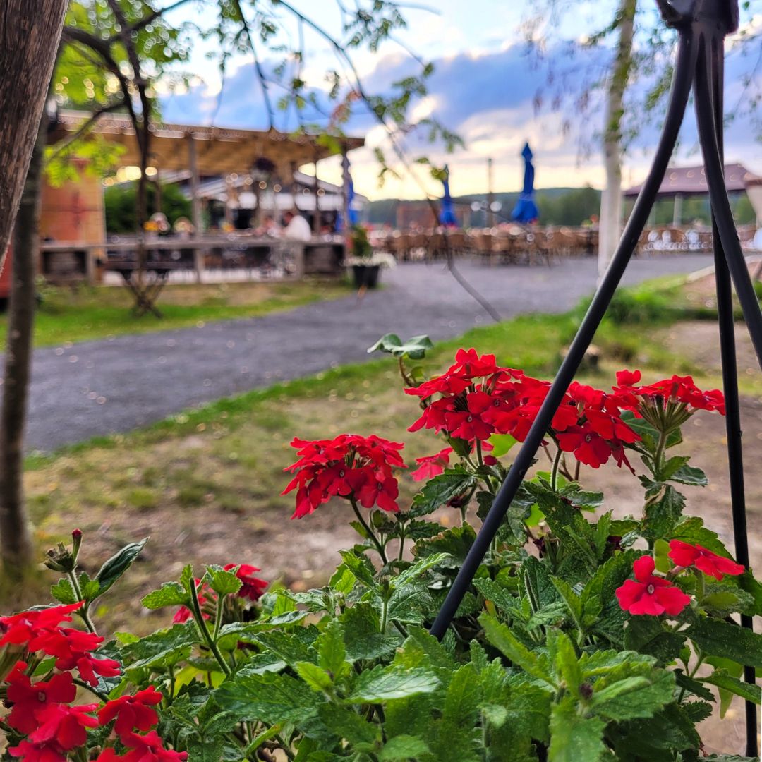 xr:d:DAFlgBRa0fI:44,j:4944224397445611780,t:23072804